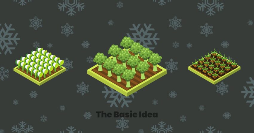 Unlock the Secrets of Winter Gardening